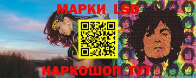 винт Кандалакша
